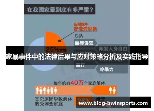 家暴事件中的法律后果与应对策略分析及实践指导