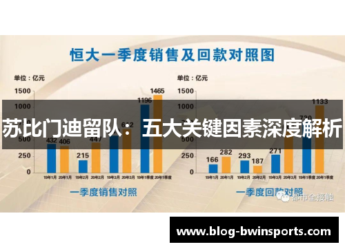 苏比门迪留队：五大关键因素深度解析