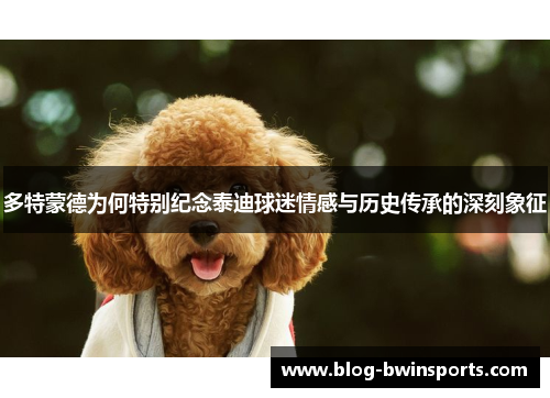 多特蒙德为何特别纪念泰迪球迷情感与历史传承的深刻象征