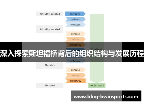 深入探索斯坦福桥背后的组织结构与发展历程